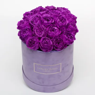 Букет 35 фиолетовых роз Остина в шляпной коробке - Luxury Roses Спб