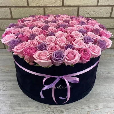 Букет 19 ярко-фиолетовых роз Остина в бархатной коробке - Luxury Roses Спб