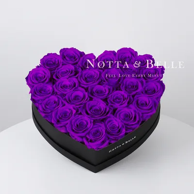 Фиолетовые розы: значение, виды и использование во флористике | Во Имя Розы