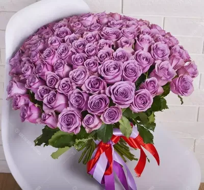 Купить 101 Фиолетовая Роза Кения Премиум 40 см с бесплатной доставкой в  Барнауле