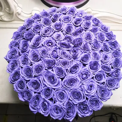 101 фиолетовая роза в коробке за 20 290 руб. | Бесплатная доставка цветов  по Москве