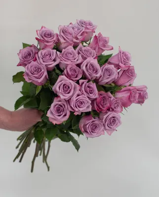 1️⃣ Фиолетовые пионовидные розы Алматы | Лучшие цены в Pro-buket