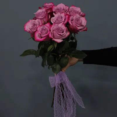 Какие сорта выбрать сорта фиолетовых роз выбрать - Agro-Market24