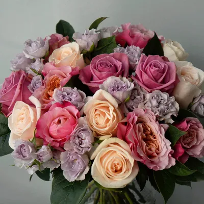 Фотообои Фиолетовые розы на стену. Купить фотообои Фиолетовые розы в  интернет-магазине WallArt