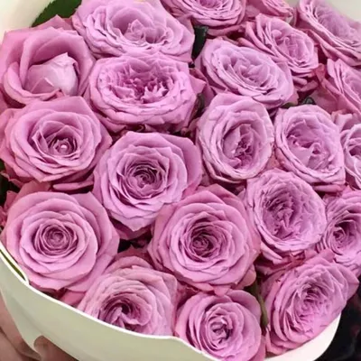 Кустовые пионовидные розы 35 шт, Коробка для цветов, На фото коробка из 35  пионовидных кустовых роз!
