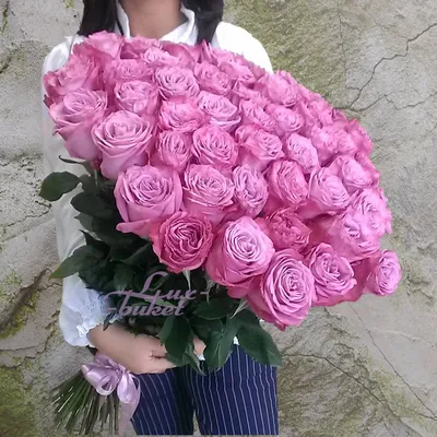 Фиолетовые розы - 60 фото