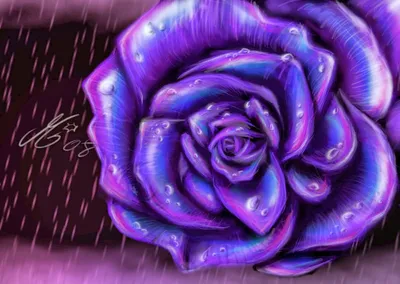 Купить Фиолетовые розы в дизайнерской упаковке №161 в Москве недорого с  доставкой