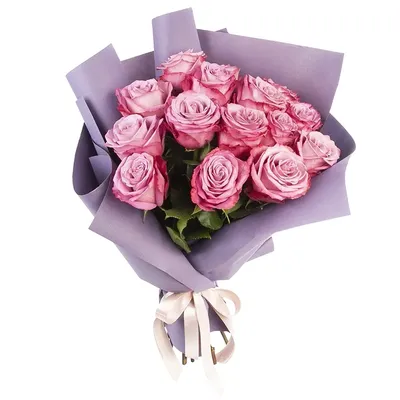 15 розово-фиолетовых роз в упаковке
