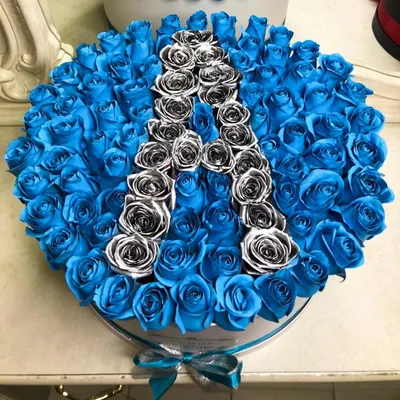Розы голубые фото фотографии