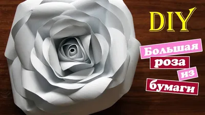 Большая роза из бумаги в интернет-магазине Ярмарка Мастеров по цене 700 ₽ –  GAR2JRU | Создание дизайна, Москва - доставка по России