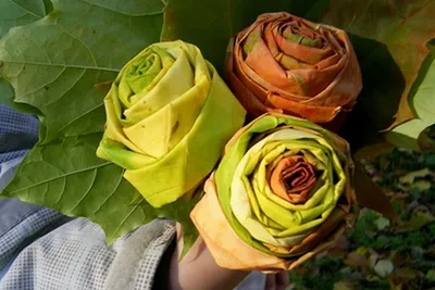 Кленовые розы из кленовых листьев.» — создано в Шедевруме