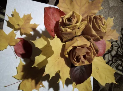 Розы из кленовых листьев