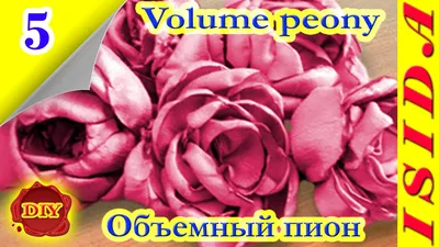 🌹Розы из атласной ленты 2,5(5) см МК🌹Roses from satin ribbon 2.5(5)cm  DIY🌹Rosas de fita de cetim - YouTube