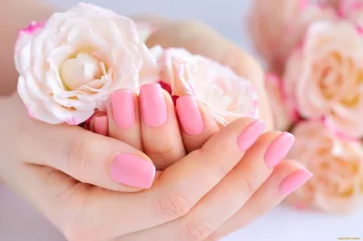 Маникюр с розой — фото дизайнов ногтей