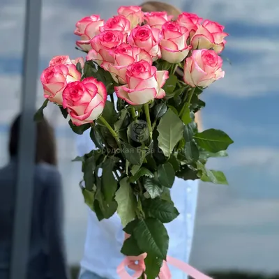 101 Кустовая роза розового цвета купить в Краснодаре с доставкой