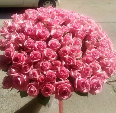 21 красная и розовая розы купить с доставкой в Москве | Заказать букет  цветов недорого