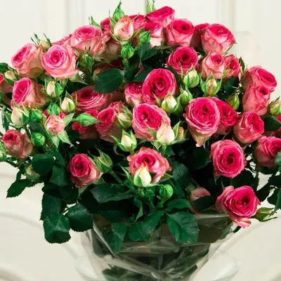 Купить букет цветов розовые розы 1850 р. в интернет магазине Модный букет с  доставкой по Москве