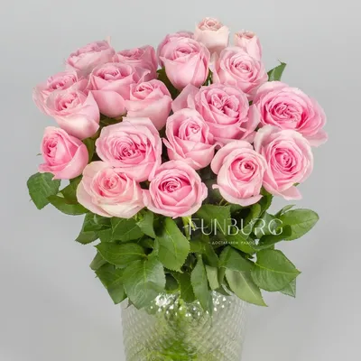 Розы розового цвета • PaperLand - бумажная страна