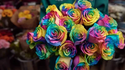 Букет цветов из 21 розовой розы купить с доставкой по цене 3279 ₽ в Нижнем  Новгороде | Букеты от База Цветов 24
