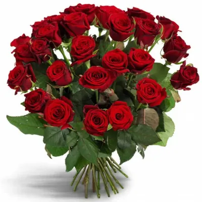 Ароматные розы Вайт Охара - купить в Москве | Flowerna