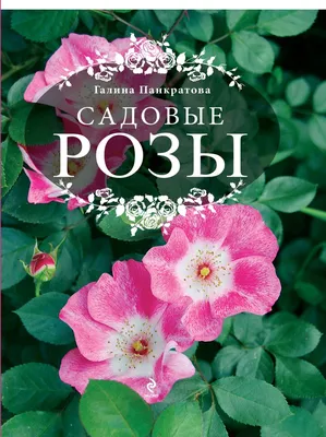 Разновидности садовых роз – вьющиеся и парковые розы, чайно-гибридные и  флорибунда, миниатюрные розы