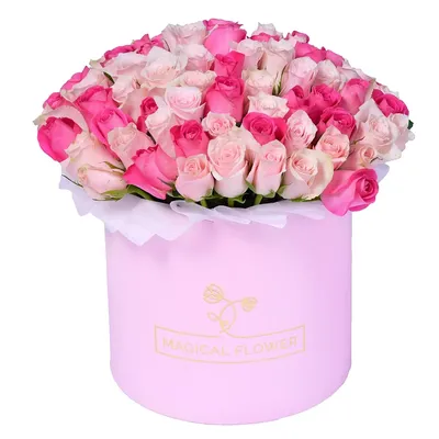 Розовые розы в коробке (XL) от 101 розы - купить в интернет-магазине Rosa  Grand
