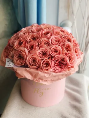 Красные розы в розовой шляпной коробке (19 шт) за 2550р. Позиция № 1854