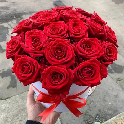 Only Rose — идеальные розы в коробке | Купить свежесрезанные розовые розы в  коробке «Флаверберри»