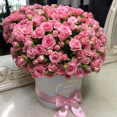 Красные розы в коробке (XS) 23-25 роз - купить в интернет-магазине Rosa  Grand