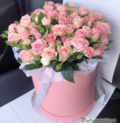 ✓ Красные розы в шляпной коробке ◈ Купить он-лайн в интернет-магазине  цветов Цветариус ◈ Цена - 7 600 руб. ◈ (Артикул - бк061)