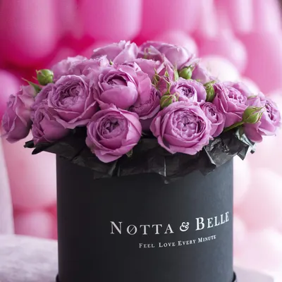 Розы в шляпной коробке - заказать и купить за 7 350 ₽ с доставкой в Сочи -  партнер «Цветы от Саши и Кати»