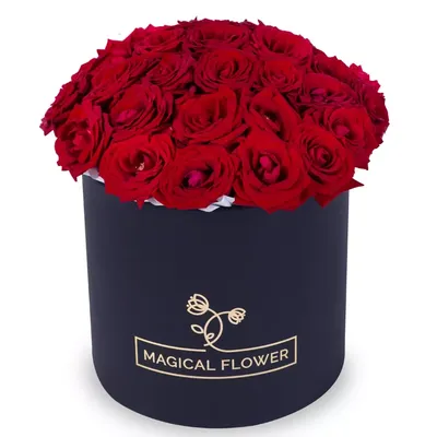 101 роза в шляпной коробке с бантом | доставка по Москве и области