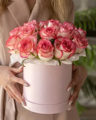 25 красных роз premium в черной шляпной коробке - купить в Москве по цене  3290 р - Magic Flower