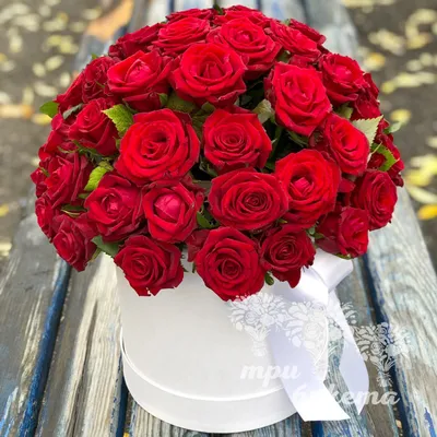 17 роз в шляпной коробке «Нежный поцелуй» 125.00 Br ❀ Цветочная мастерская  Флореаль