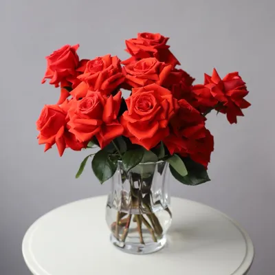 Роза в вазе – как продлить жизнь цветку читайте на сайте Premium-flowers