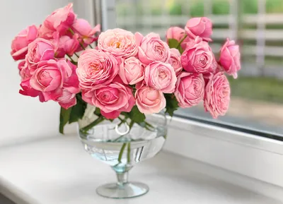 Как долго хранятся розы в вазе: полное руководство с советами и  рекомендациями