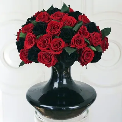 Букет 51 красная роза 60 см в вазе с доставкой в Санкт-Петербурге.