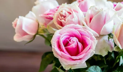 Купить картину: Анджей Влодарчик - Букет розовых и коралловых роз в вазе,  Москва | Артхив