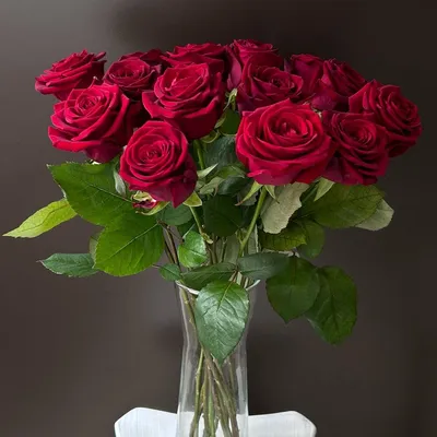 Как сохранить розы в вазе на долгое время? Краткое руководство для  любителей.