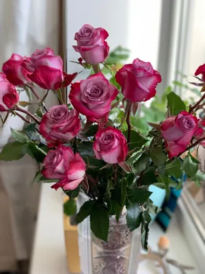 Букет из 15 Красных роз в стеклянной вазе, Цветы и подарки Ижевск,  Удмуртская, Россия, купить по цене 4750 RUB, Монобукеты в Бутоника с  доставкой | Flowwow