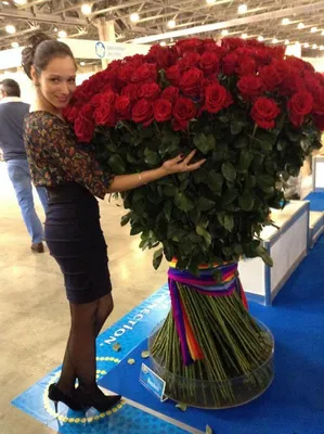 Купить Высокие красные розы 1,3 метра в Новосибирске