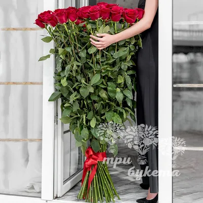 Высокие розы. Купить букет высоких роз 180 см с доставкой в Москве |  цветы-24.москва