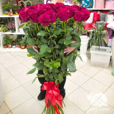 Высокие розы 100-110см №19 - 🌹 Цветы Новосибирск заказ: