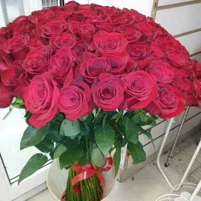 Высокие красные и белые розы Эквадор 45 шт., артикул: 333082689, с  доставкой в город Москва (внутри МКАД)