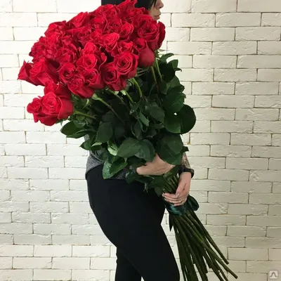 80 руб - Купить высокие красные розы, 80см, Эквадор,