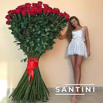 Заказать высокие розы FL-753 купить - хорошая цена на высокие розы с  доставкой - FLORAN.com.ua
