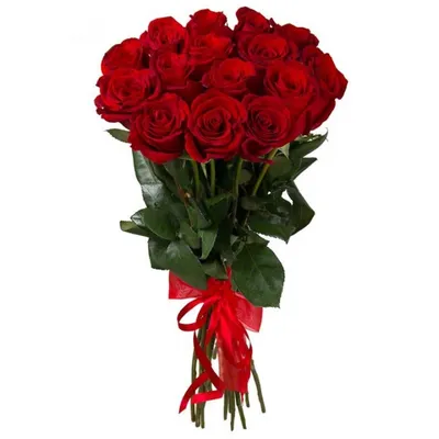 Купить Роза «Высокая красная 110» из каталога Длинные розы в Сыктывкаре -  «Флориска».