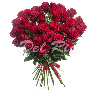 Высокие розы - 2 метра - Сантини - Магазин Цветов Santini