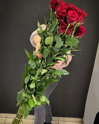 Купить Высокие красные розы 1,5 метра в Новосибирске