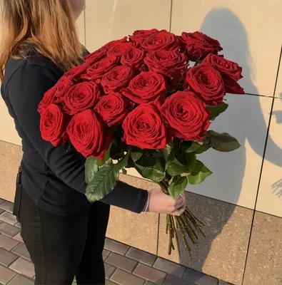 Букет из 25 длинных Голландских алых роз | купить 25 высоких роз
